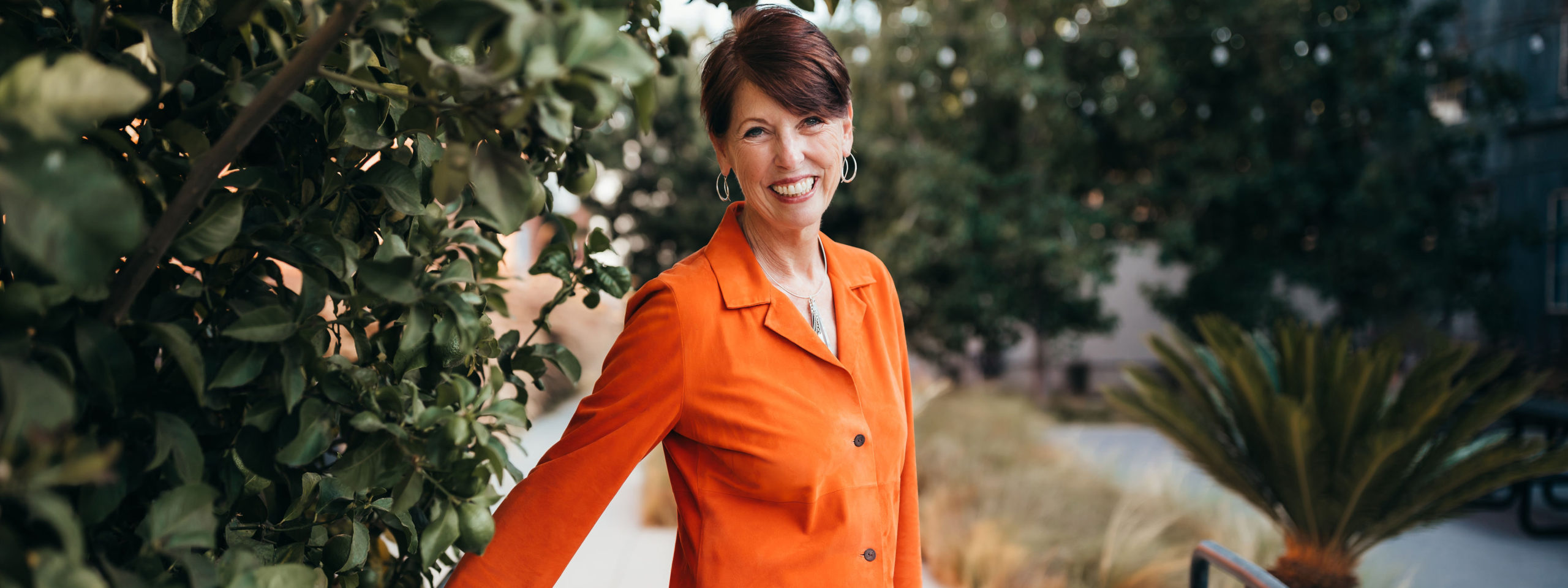 Headshot photo of Lisa Perrine